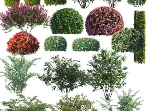 modern green plant tree flower bushes psd