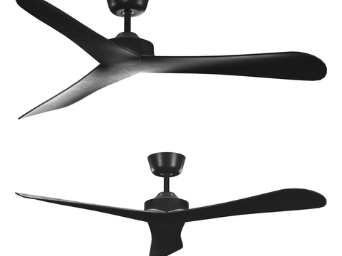 fan ceiling fan