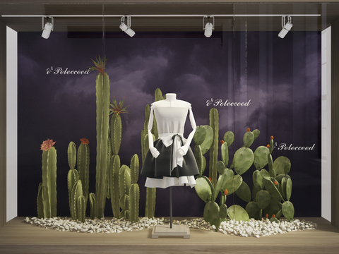 Modern Clothing Store Cactus Window