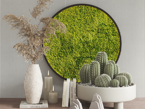 Modern cactus potted moss plant wall