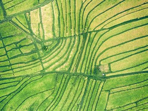 modern wetland idyllic aerial view psd