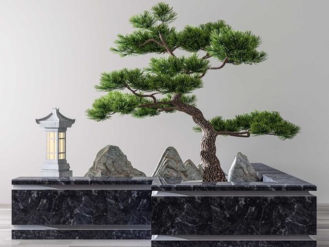 New Chinese pine rockery gardening sketch