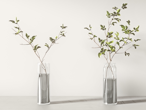 Modern Aquatic Plant Vase