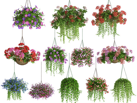 Modern Trumpet Flower Hanging Basket Flower Basket