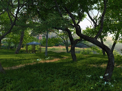 Natural wind mountain forest lake landscape