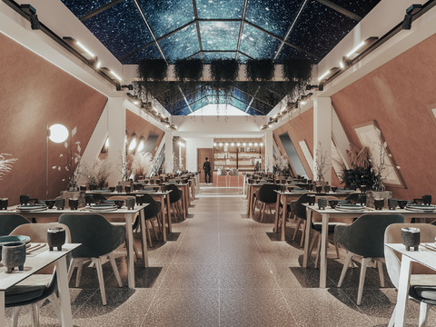 Nordic Star Theme Restaurant