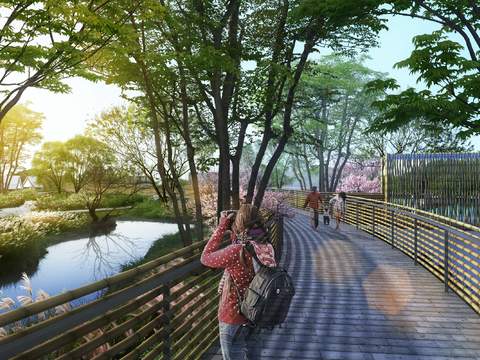 modern wetland covered bridge park psd