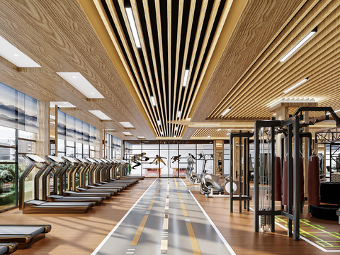 Modern Gym