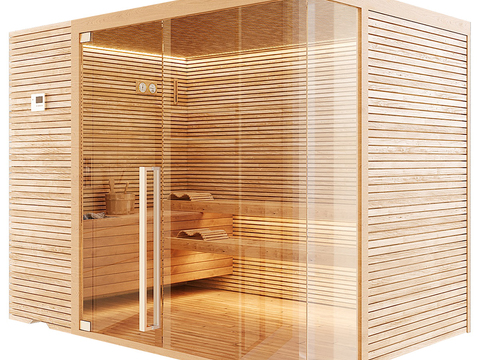 Sauna room steam room