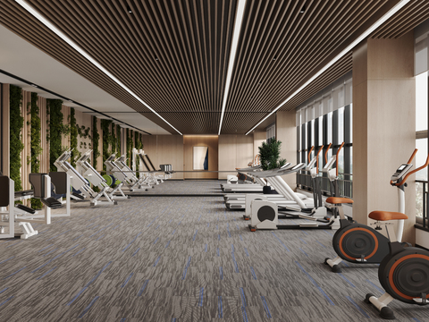 Modern Gym Running Area