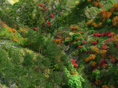 Modern landscaping landscape bird's eye view