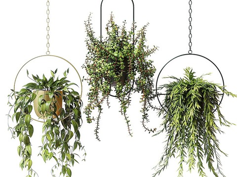 Modern Green Plant Hanging Basket