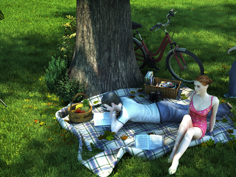 Modern Lawn Picnic