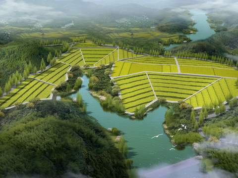 terraced bird's eye view tea garden landscape psd