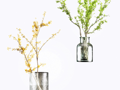 Modern hydroponic branch floral vase