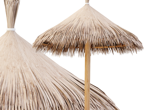 Thatch umbrellas