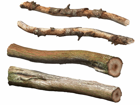 wood tree pole branch wood wood wood wood stick rotten wood