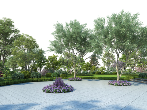 modern garden landscape