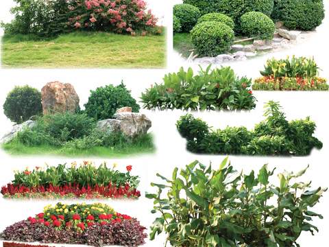 modern green plant flowers bushes psd