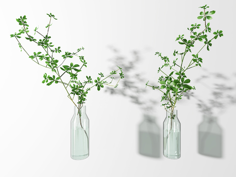 Modern hydroponic green plant vase