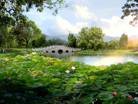 Modern Wetland Park Landscape psd