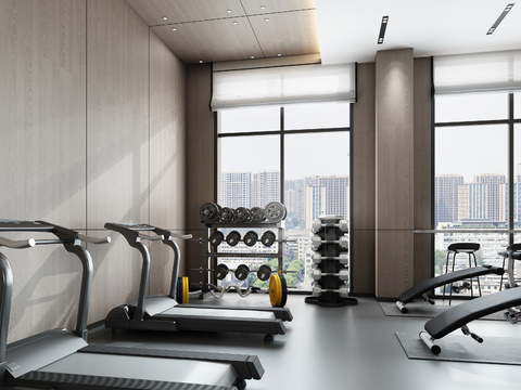 Modern Gym