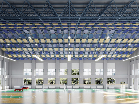 gymnasium basketball hall indoor basketball court