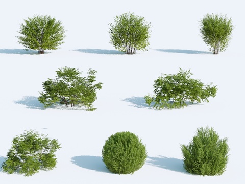 Landscape tree bushes