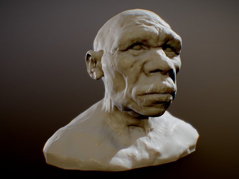 Modern ape head sculpture free