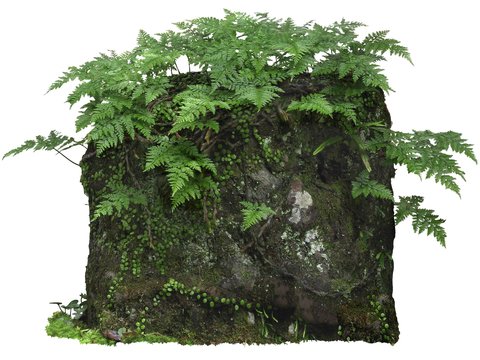 Ting stone moss landscape stone rock psd