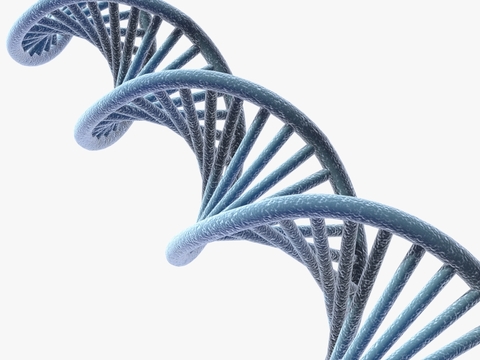 Modern DNA Free Model