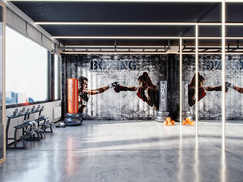 Modern gym fight room