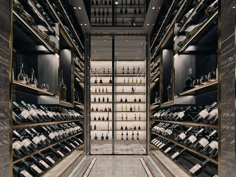 Modern Wine Cellar Wine Room