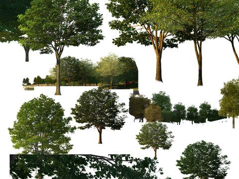 big trees trees landscape trees psd