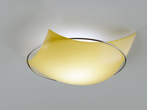 Modern Ceiling Light Free