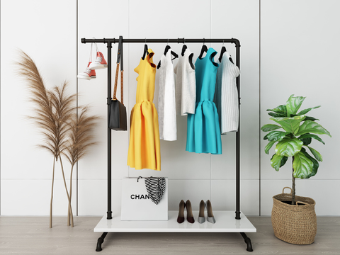 Nordic Women's Clothing Hanger