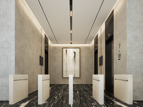 Elevator Hall Modern Apartment