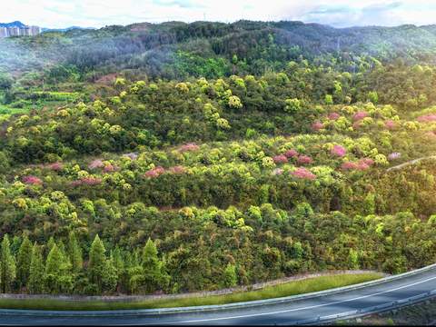 hillside mountain retaining wall vegetation psd