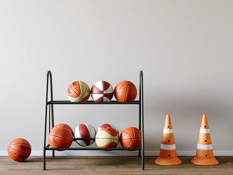 basketball ball rack