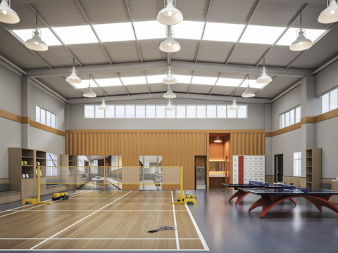 Modern indoor court