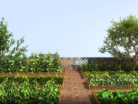 Natural Wind Vegetable Landscape