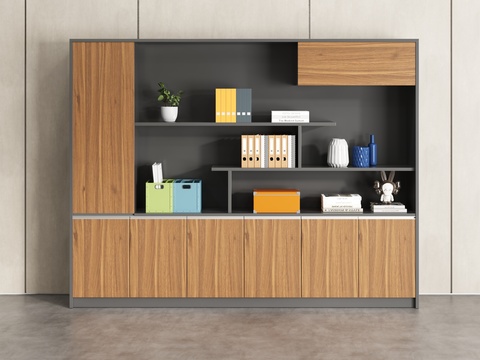 Modern Office Bookcase File Cabinet