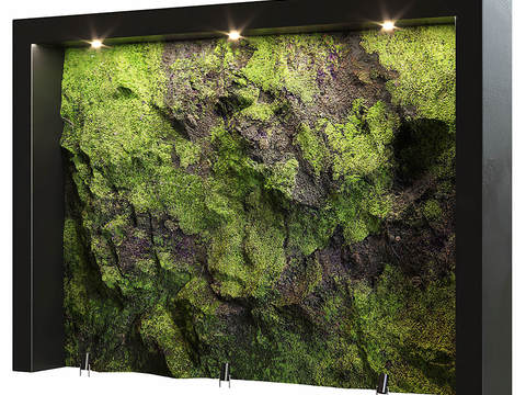 Modern moss plant wall