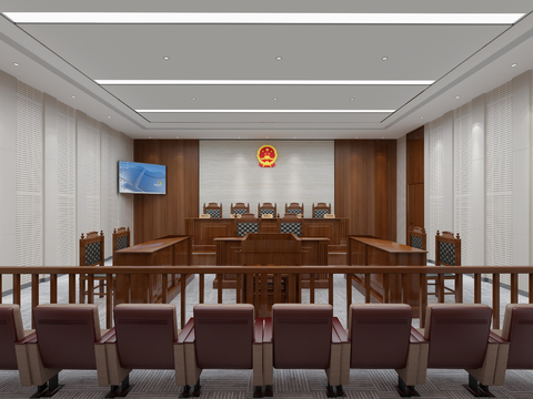 Public Prosecution Court