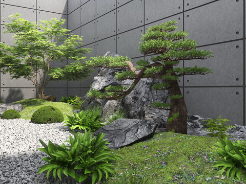 New Chinese pine gardening sketch