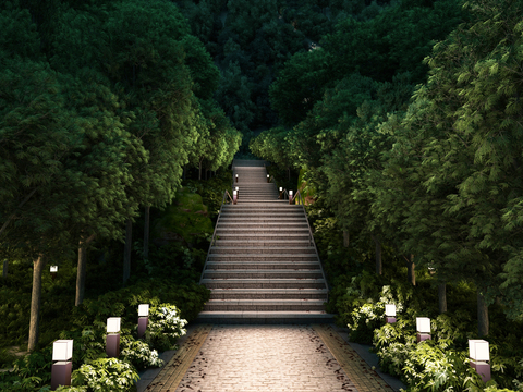 Modern Park Steps Night View