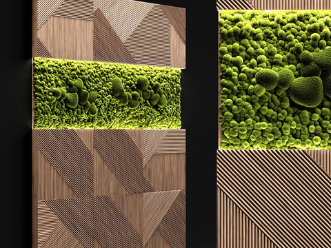 Modern moss plant wall