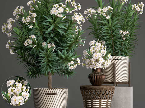 modern floral potted plant