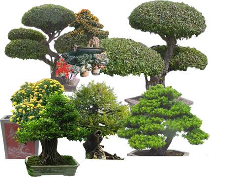 modern landscape tree flower bed tree psd