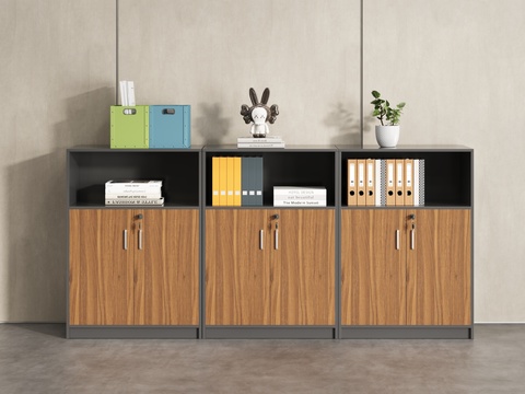 Modern Office Bookcase File Cabinet